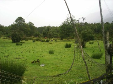 Imagen 10