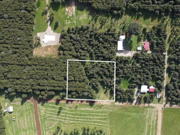 Venta / Terreno / Aysén