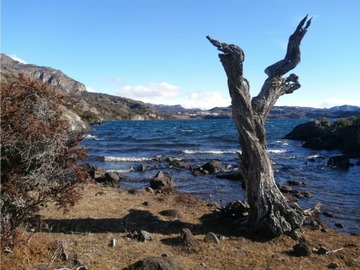 Venta / Terreno / Aysén