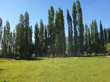 Venta / Terreno / Aysén