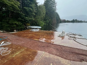 Venta / Terreno / Aysén