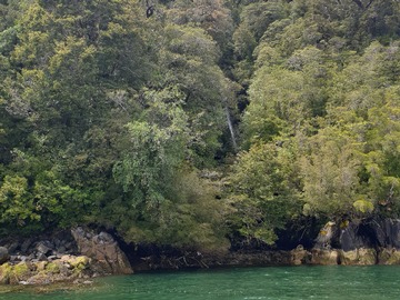 Venta / Terreno / Aysén