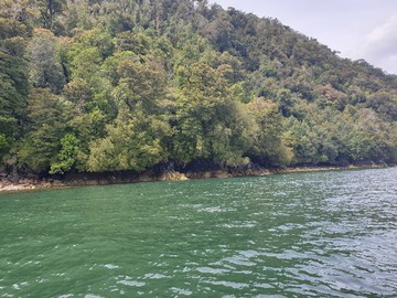 Venta / Terreno / Aysén