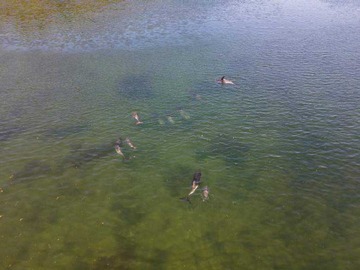 Venta / Terreno / Aysén