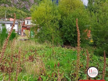 Venta / Terreno / Aysén