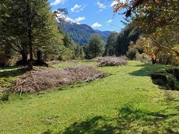 Venta / Terreno / Aysén