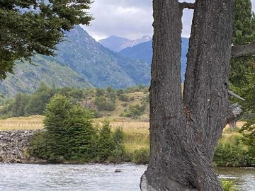 Venta / Terreno / Aysén