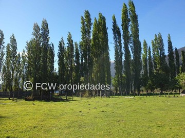 Imagen 13