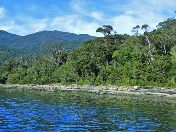 Venta / Terreno / Aysén