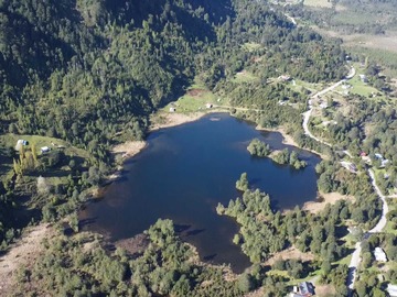 Imagen 6