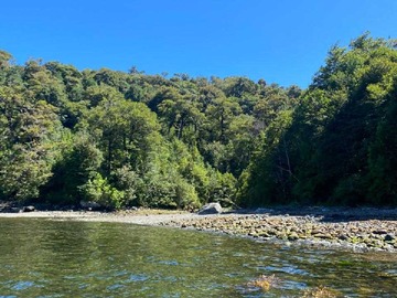 Venta / Terreno / Aysén