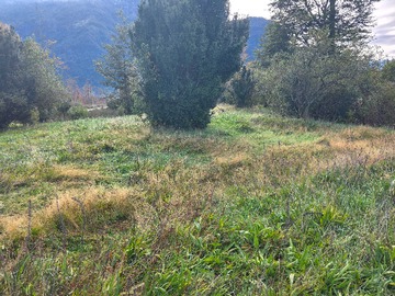 Imagen 18