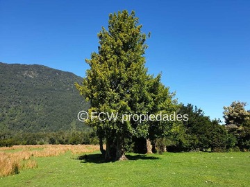 Imagen 14