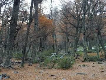 Imagen 9