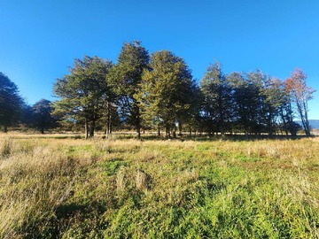 Venta / Terreno / Aysén
