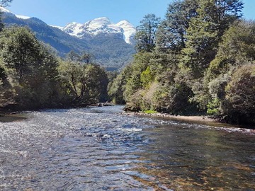 Venta / Terreno / Aysén
