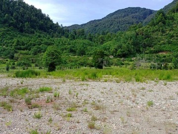 Venta / Terreno / Aysén