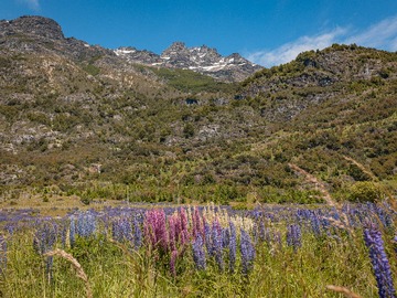 Venta / Terreno / Aysén