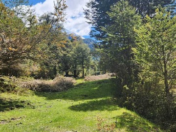 Venta / Terreno / Aysén