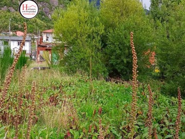 Venta / Terreno / Aysén