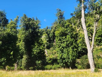 Venta / Terreno / Aysén