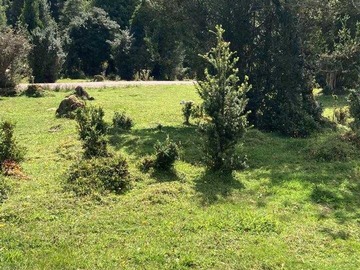 Venta / Terreno / Aysén
