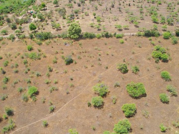 Venta / Terreno / Bulnes