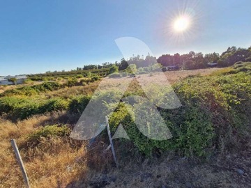 Venta / Terreno / Bulnes