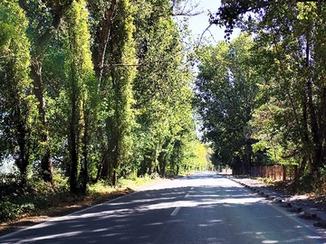 Venta / Terreno / Bulnes