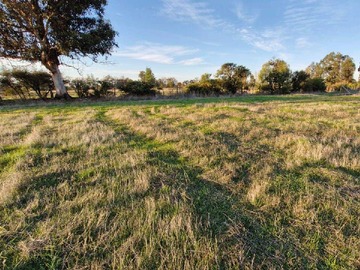 Venta / Terreno / Bulnes
