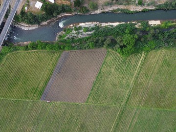 Venta / Terreno / Bulnes