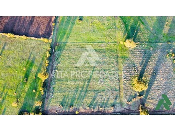 Venta / Terreno / Bulnes