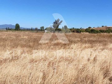 Venta / Terreno / Bulnes