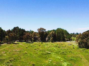 Venta / Terreno / Bulnes