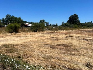 Venta / Terreno / Bulnes