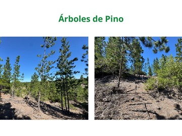 Imagen 6