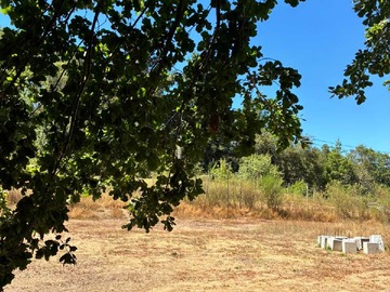 Venta / Terreno / Cabrero