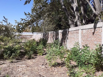 Venta / Terreno / Cabrero