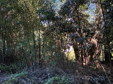 Venta / Terreno / Cabrero