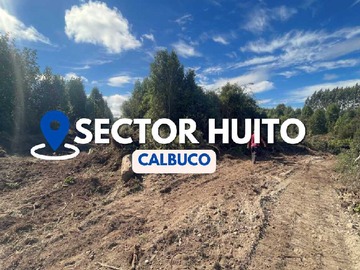 Venta / Terreno / Calbuco