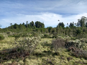 Venta / Terreno / Calbuco