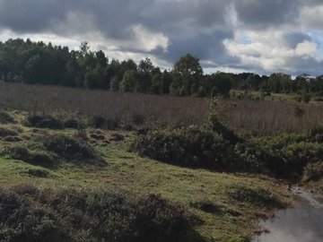 Venta / Terreno / Calbuco