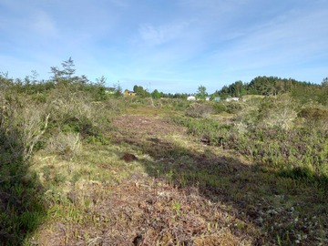 Venta / Terreno / Calbuco