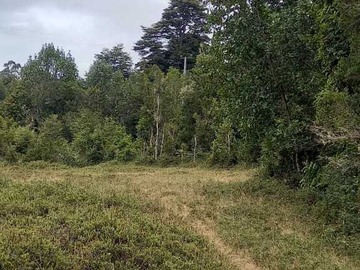 Venta / Terreno / Calbuco