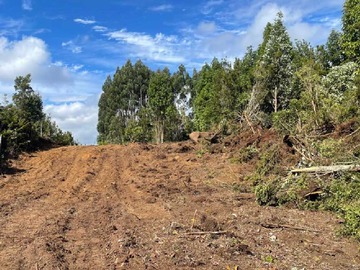 Venta / Terreno / Calbuco