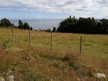 Imagen 5