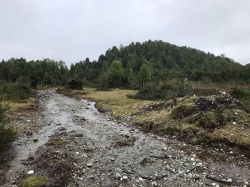 Venta / Terreno / Calbuco