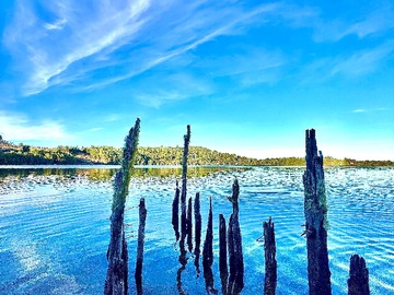 Venta / Terreno / Calbuco