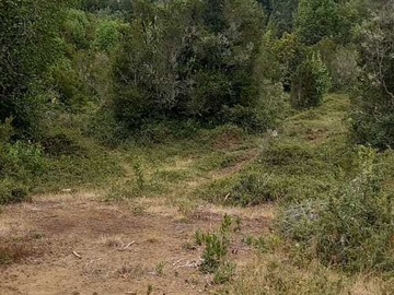 Imagen 9