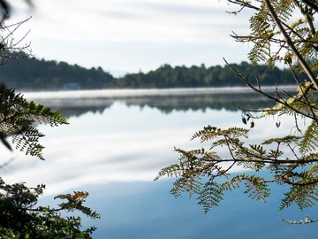 Venta / Terreno / Calbuco